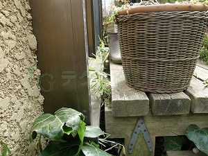 幕板なしのウッドデッキ 交換前